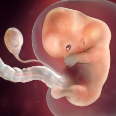 9 haftalık bebeğin anne karnındaki görüntüsü